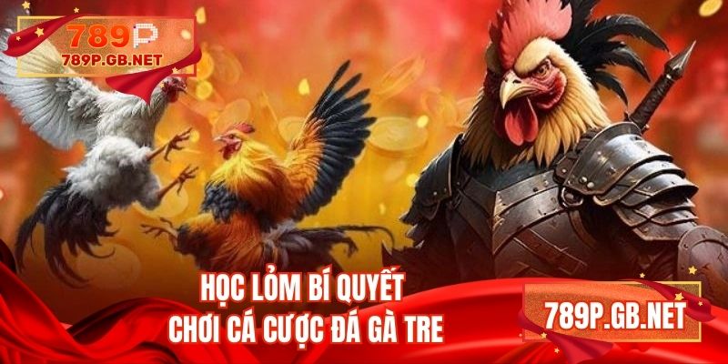Học lỏm bí quyết chơi cá cược đá gà tre